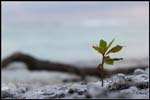 IMG_6914 copie