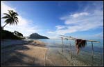 IMG_6984 copie