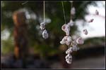IMG_7008 copie