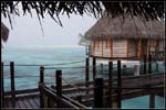 IMG_7327 copie