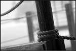 IMG_7336_lr_NB copie