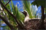 IMG_7479 copie