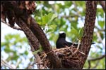 IMG_7482 copie