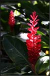 IMG_7591 copie