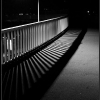 blog 14 tn