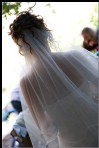 IMG_1542lrnb.jpg